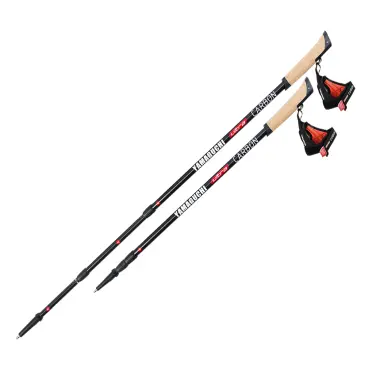Yamaguchi Ultra Carbon 3-х секционные