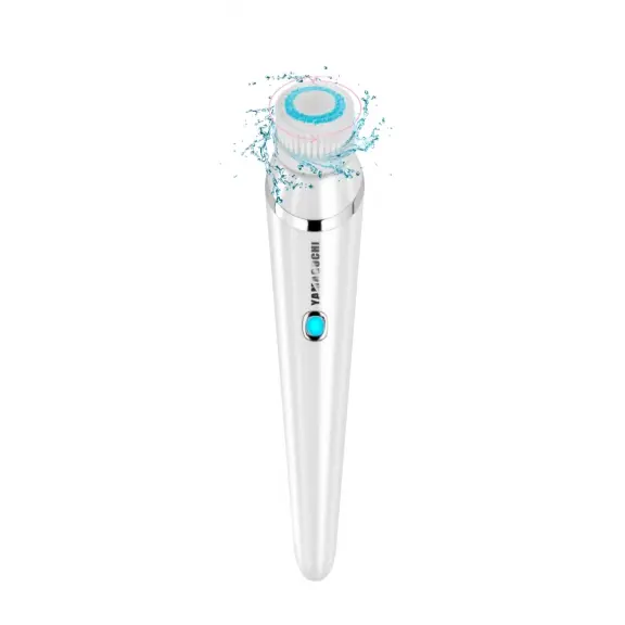Yamaguchi Face Cleansing System